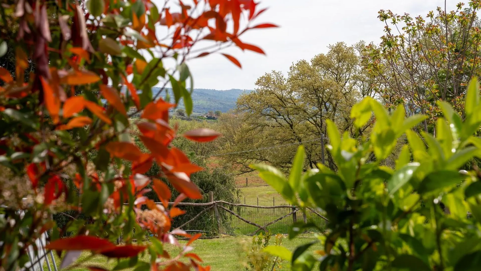Agriturismo La Carletta Preselle 0*,  Italy